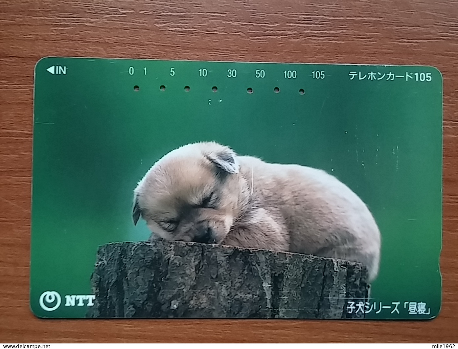 T-376 - JAPAN, Japon, Nipon, TELECARD, PHONECARD, Dog, Chien, NTT 111-016 - Dogs