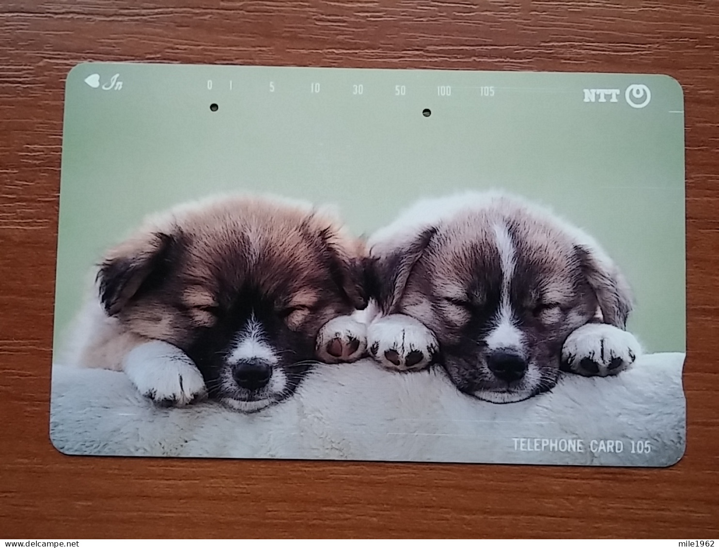 T-376 - JAPAN, Japon, Nipon, TELECARD, PHONECARD, Dog, Chien, NTT 111-025 - Honden