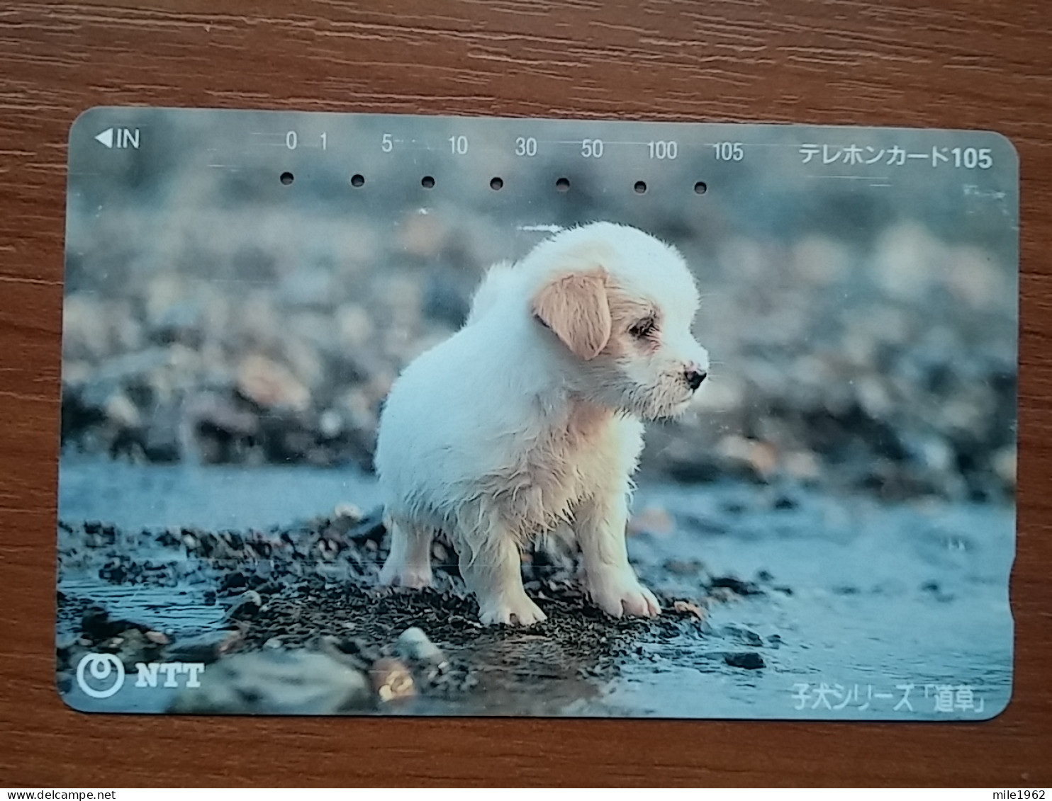 T-376 - JAPAN, Japon, Nipon, TELECARD, PHONECARD, Dog, Chien, NTT 111-040 - Chiens