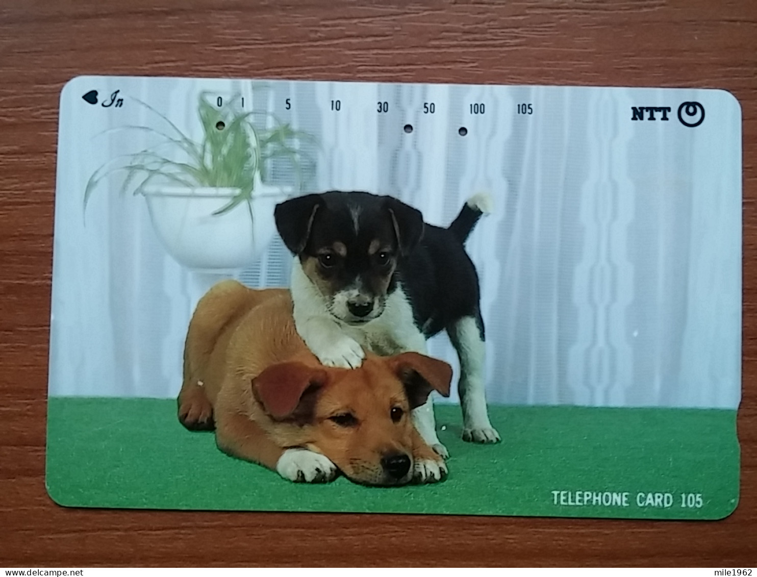 T-376 - JAPAN, Japon, Nipon, TELECARD, PHONECARD, Dog, Chien, NTT 111-041 - Chiens