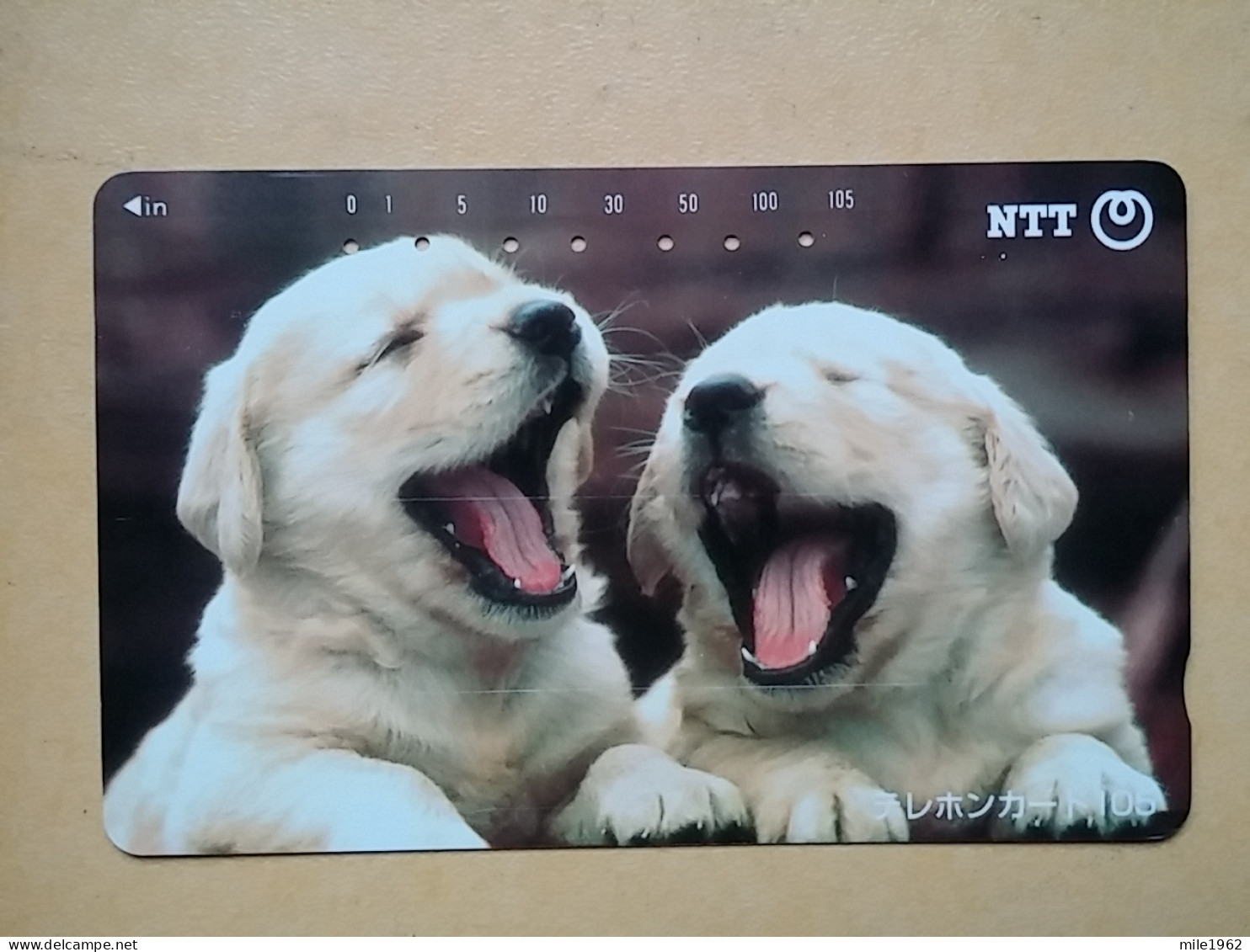 T-376 - JAPAN, Japon, Nipon, TELECARD, PHONECARD, Dog, Chien, NTT 111-073 - Honden