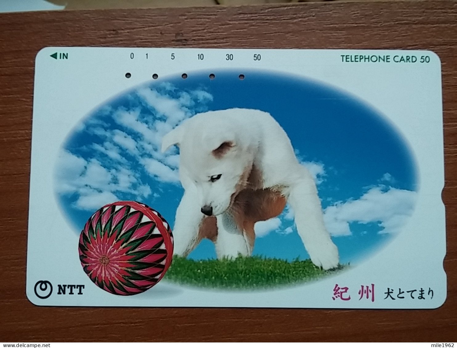 T-376 - JAPAN, Japon, Nipon, TELECARD, PHONECARD, Dog, Chien, NTT 331-490 - Chiens