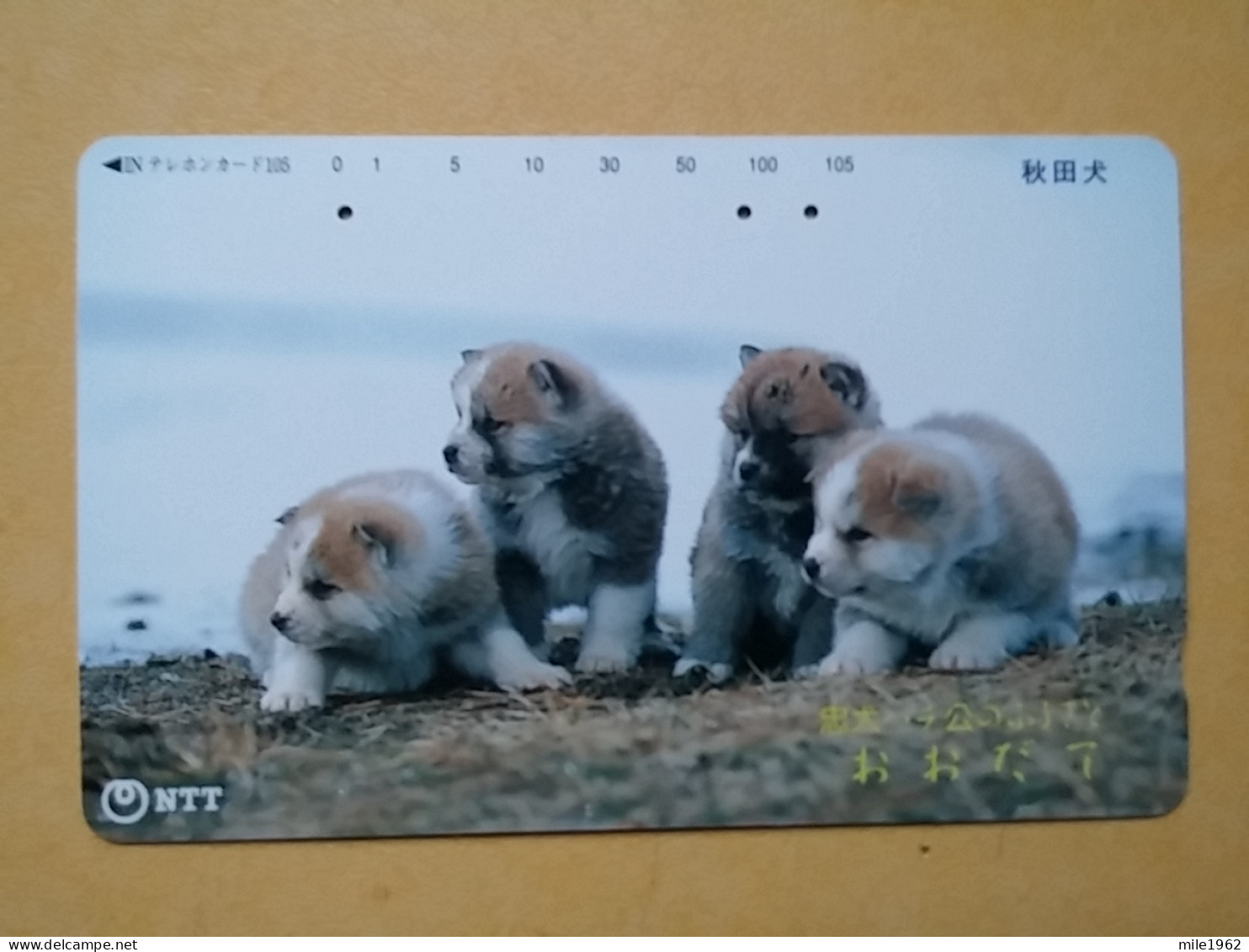 T-376 - JAPAN, Japon, Nipon, TELECARD, PHONECARD, Dog, Chien, NTT 411-259 - Chiens