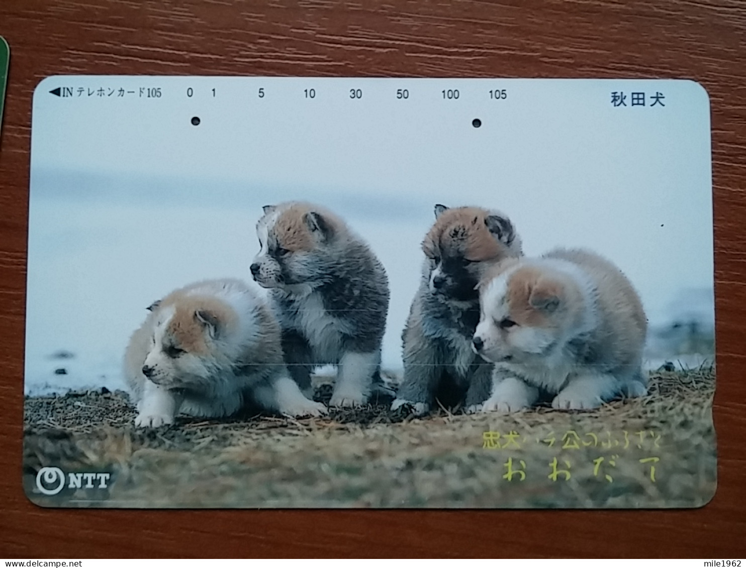 T-376 - JAPAN, Japon, Nipon, TELECARD, PHONECARD, Dog, Chien, NTT 411-259 - Chiens