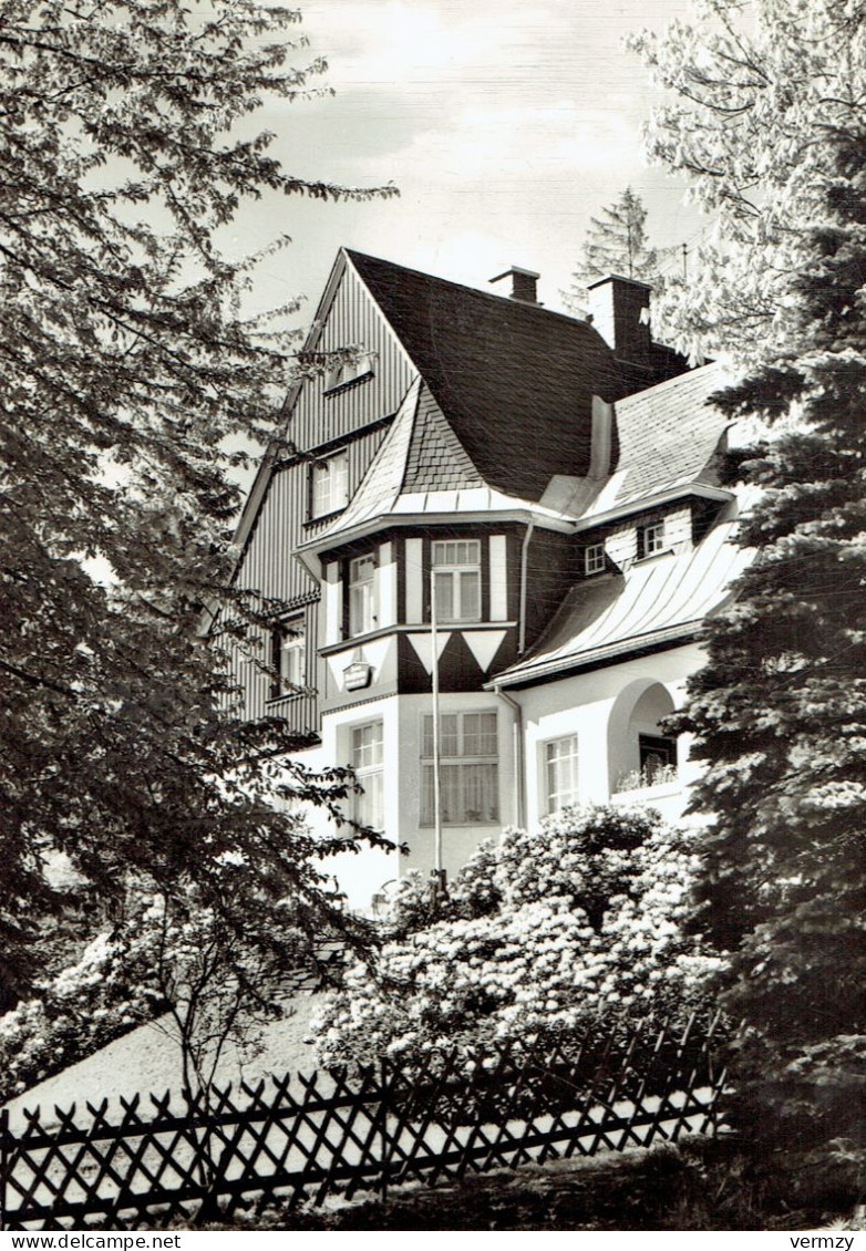 BÄRENBURG : " Haus Waldfrieden " - Photo Véritable - Diepholz