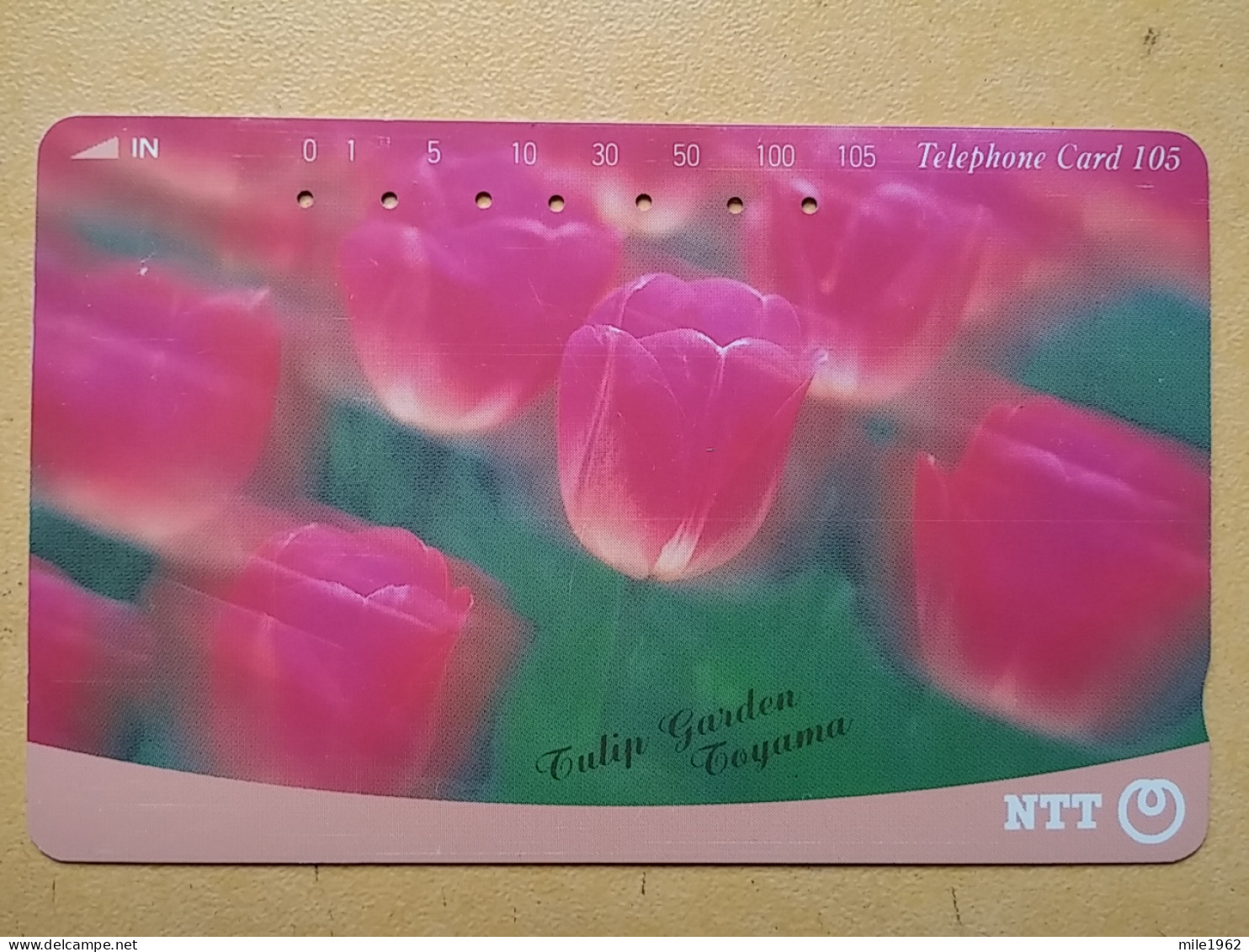 T-382 - JAPAN, Japon, Nipon, TELECARD, PHONECARD, Flower, Fleur, NTT 311-046 - Bloemen