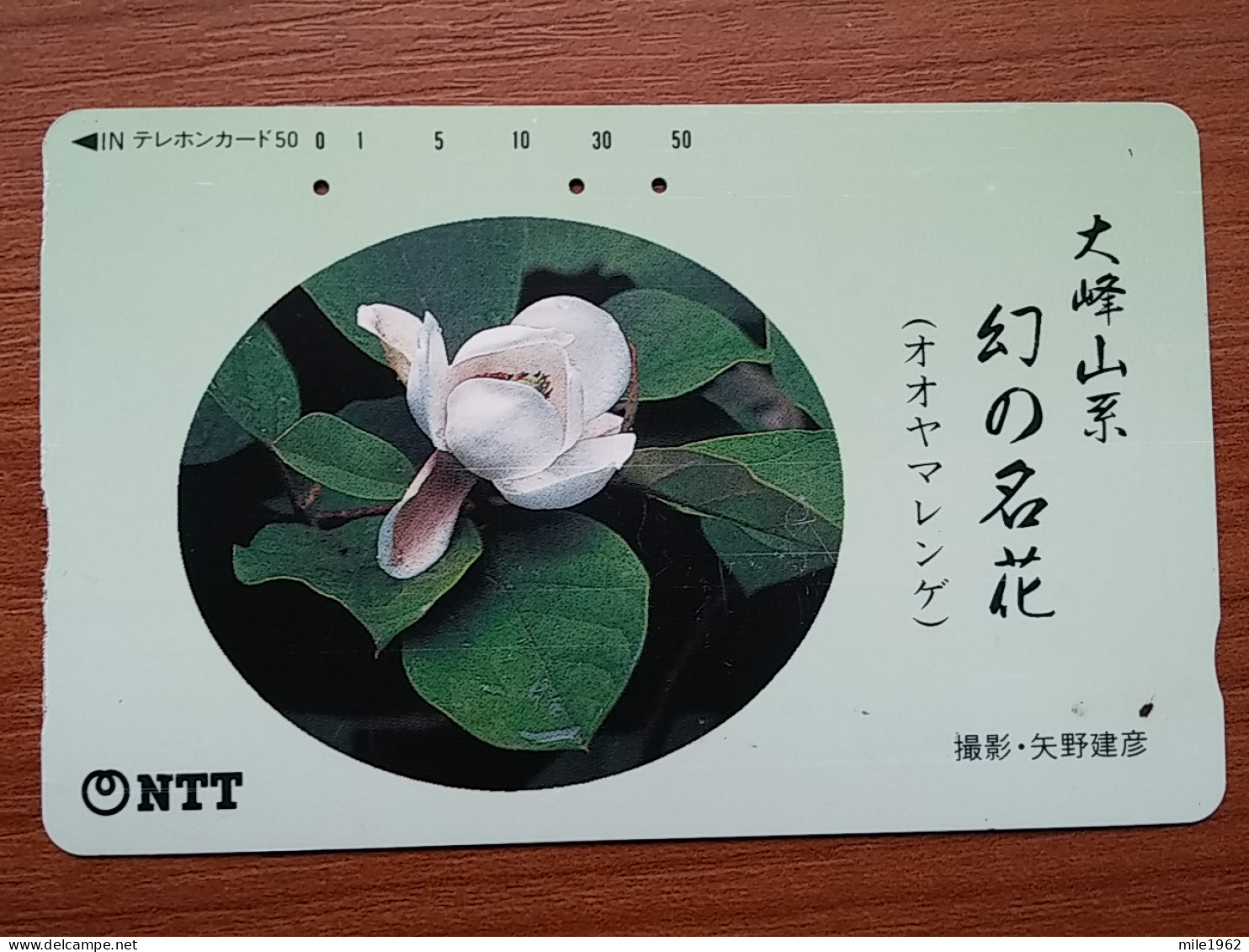 T-382 - JAPAN, Japon, Nipon, TELECARD, PHONECARD, Flower, Fleur, NTT 330-373 - Blumen