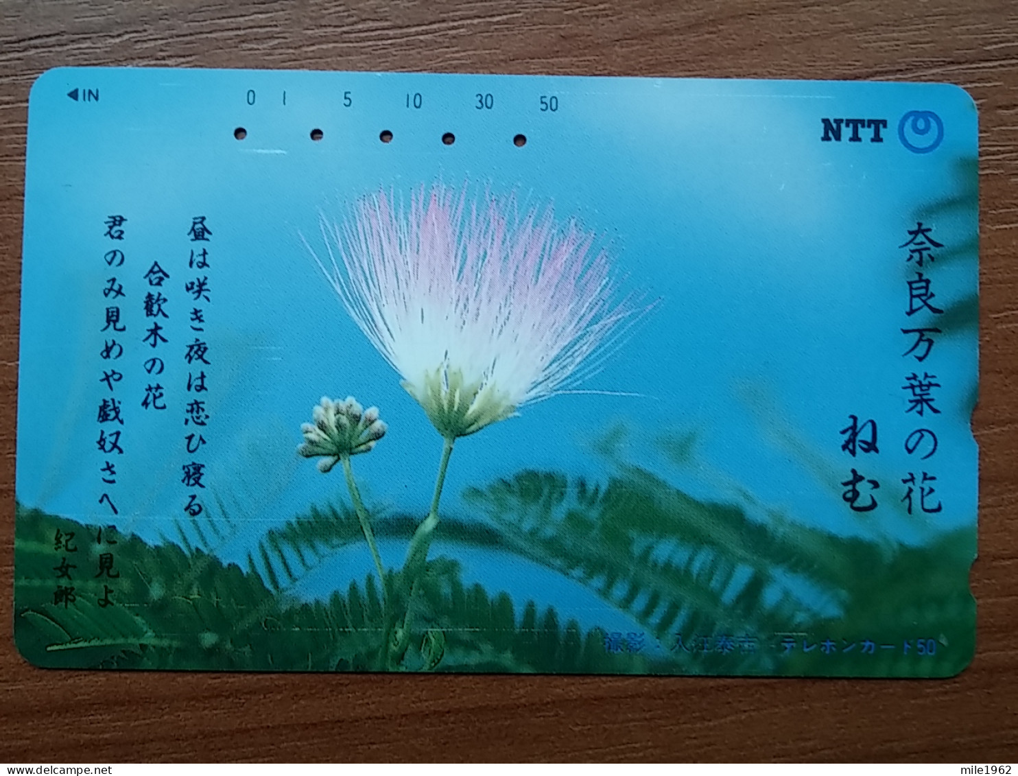 T-382 - JAPAN, Japon, Nipon, TELECARD, PHONECARD, Flower, Fleur, NTT 331-249 - Bloemen