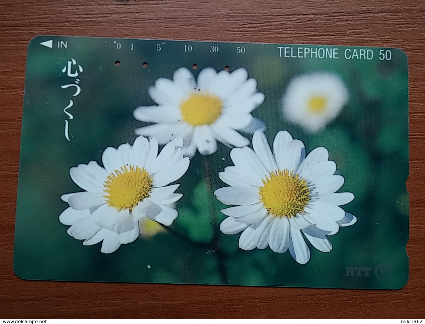 T-382 - JAPAN, Japon, Nipon, TELECARD, PHONECARD, Flower, Fleur, NTT 331-216 - Blumen