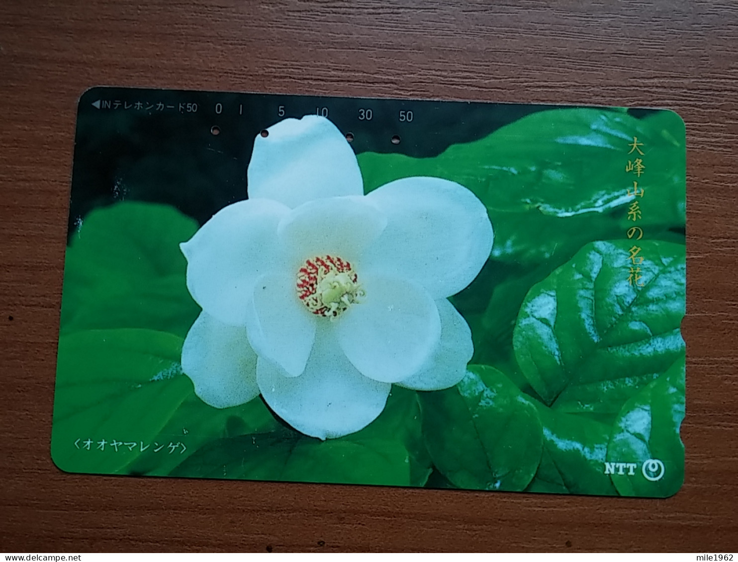 T-382 - JAPAN, Japon, Nipon, TELECARD, PHONECARD, Flower, Fleur, NTT 331-428 - Flores