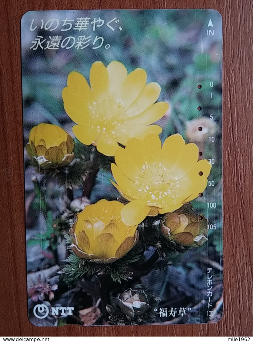 T-382 - JAPAN, Japon, Nipon, TELECARD, PHONECARD, Flower, Fleur, NTT 331-472 - Flowers