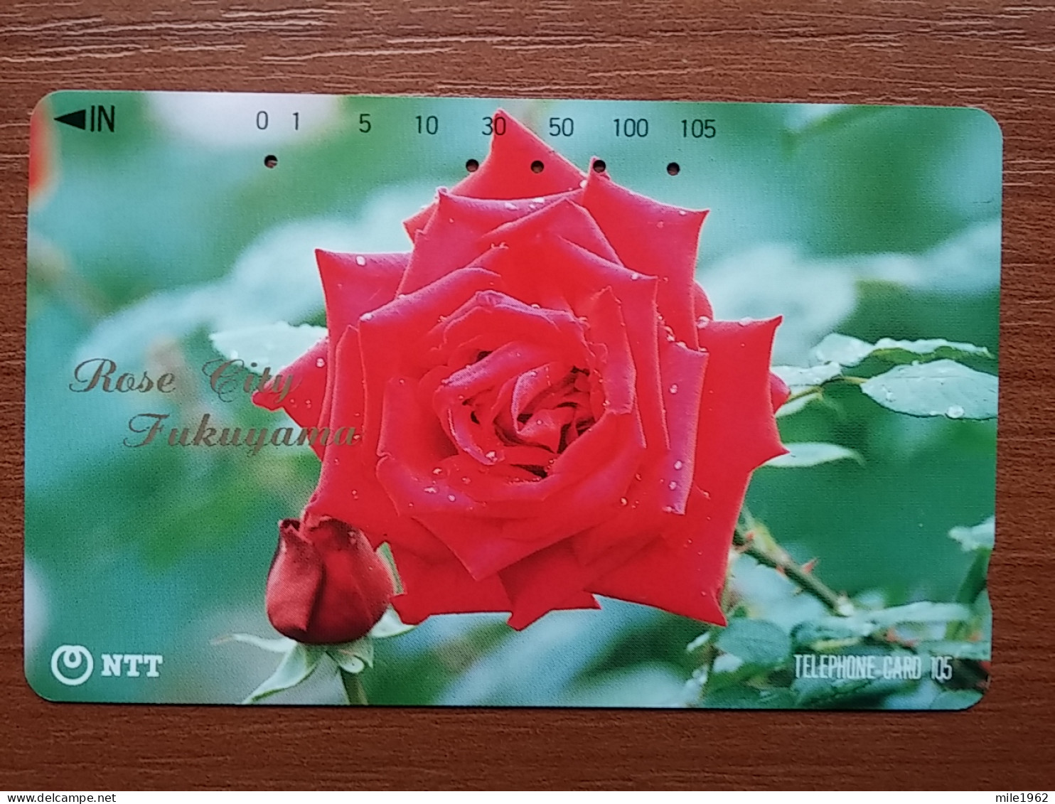 T-382 - JAPAN, Japon, Nipon, TELECARD, PHONECARD, Flower, Fleur, NTT 351-063 - Bloemen