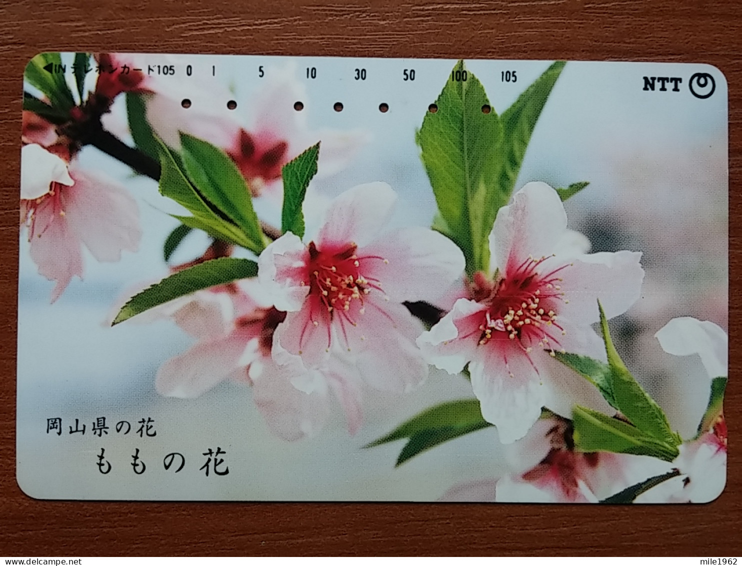 T-382 - JAPAN, Japon, Nipon, TELECARD, PHONECARD, Flower, Fleur, NTT 351-219 - Flowers