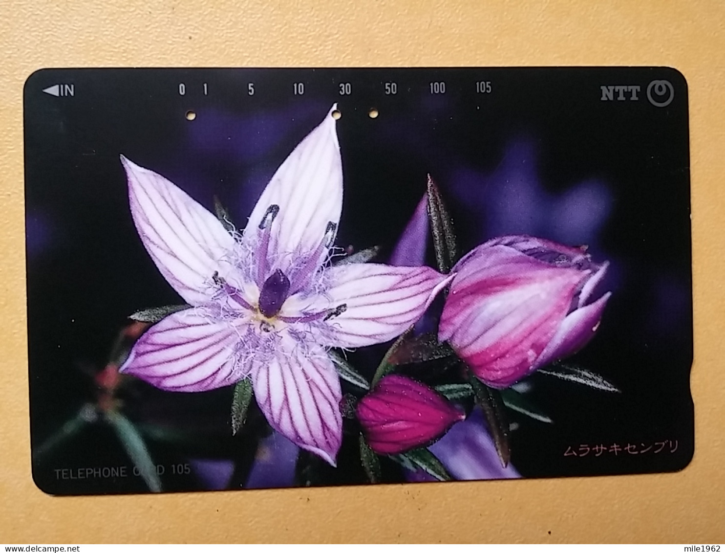 T-382 - JAPAN, Japon, Nipon, TELECARD, PHONECARD, Flower, Fleur, NTT 371-071 - Bloemen