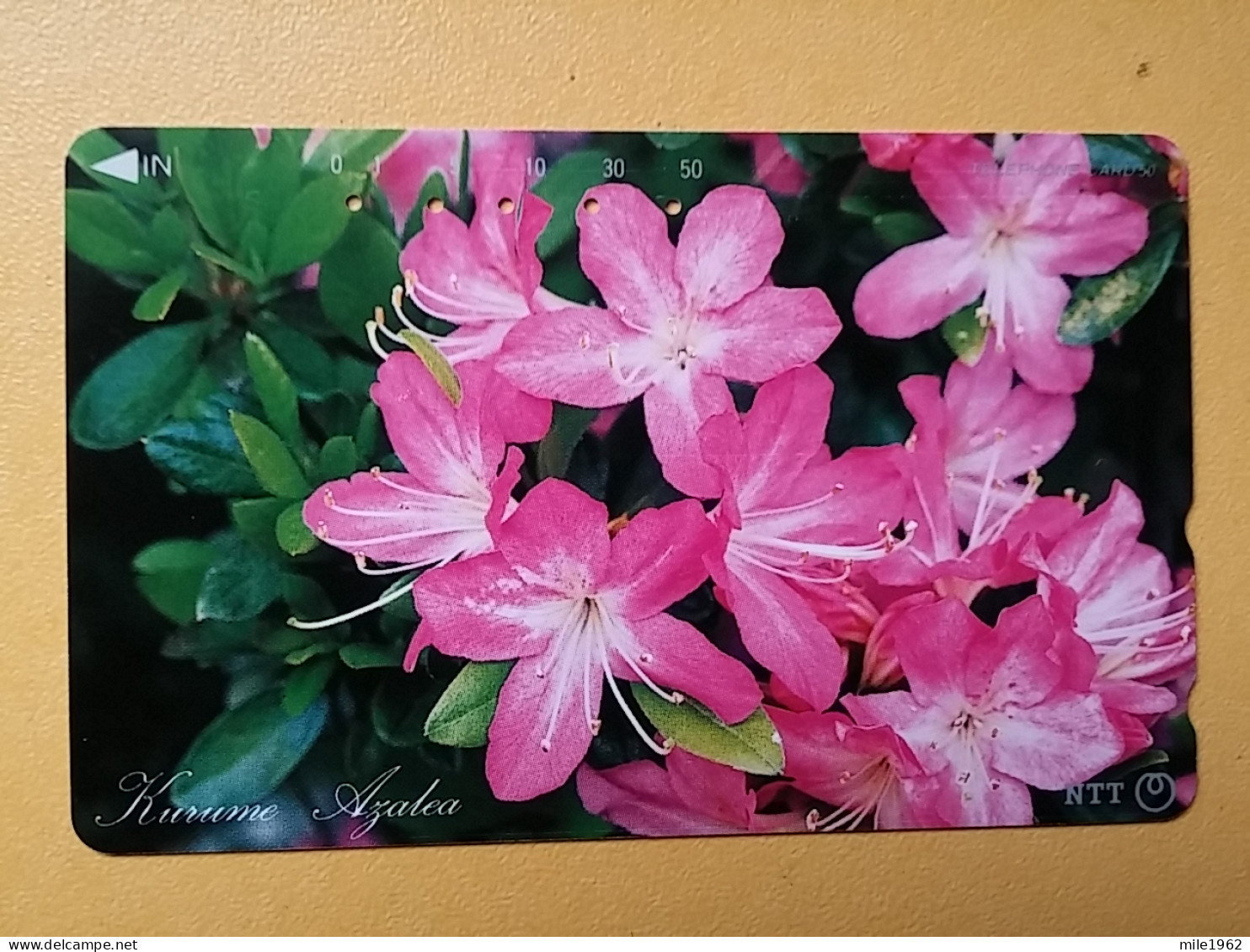 T-382 - JAPAN, Japon, Nipon, TELECARD, PHONECARD, Flower, Fleur, NTT 391-266 - Flores