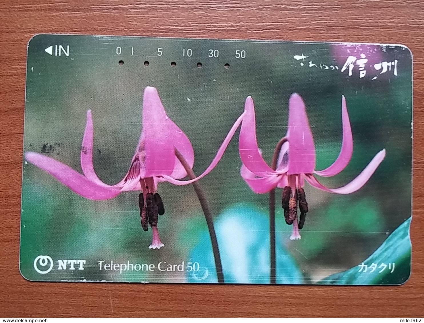 T-383 - JAPAN, Japon, Nipon, TELECARD, PHONECARD, Flower, Fleur, NTT 270-365 - Flowers