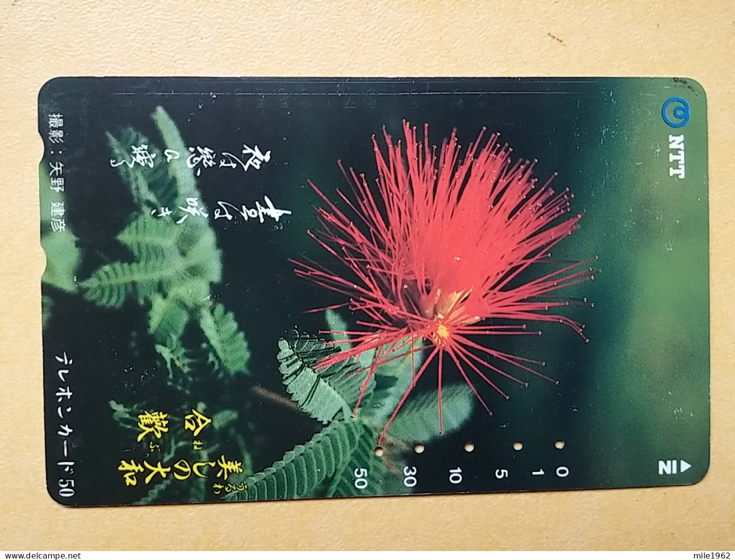 T-383 - JAPAN, Japon, Nipon, TELECARD, PHONECARD, Flower, Fleur, NTT 331-141 - Bloemen