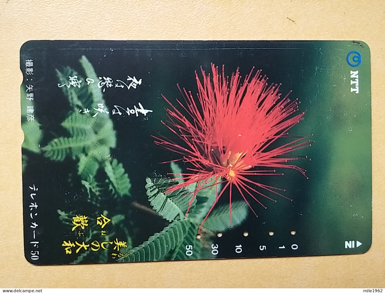 T-383 - JAPAN, Japon, Nipon, TELECARD, PHONECARD, Flower, Fleur, NTT 331-141 - Blumen