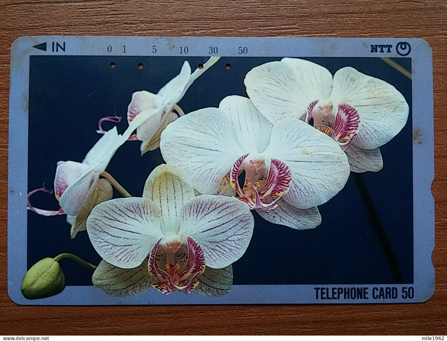 T-383 - JAPAN, Japon, Nipon, TELECARD, PHONECARD, Flower, Fleur, NTT 331-197 - Fleurs