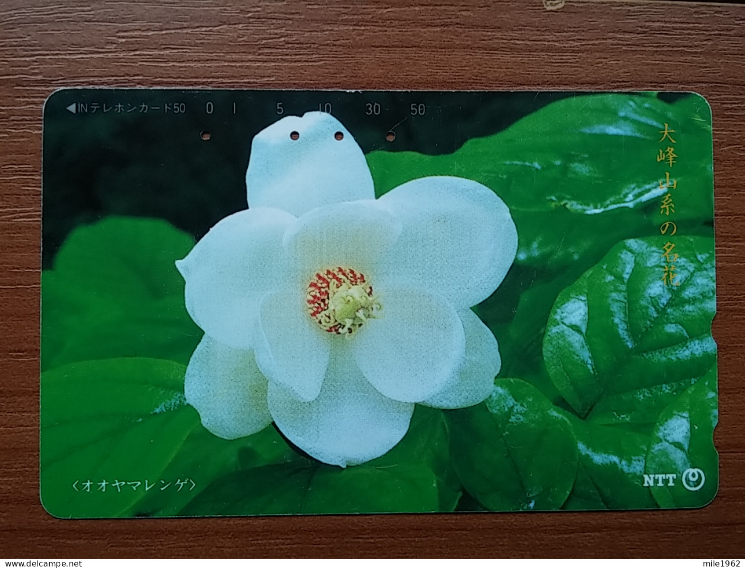 T-383 - JAPAN, Japon, Nipon, TELECARD, PHONECARD, Flower, Fleur, NTT 331-428 - Flores