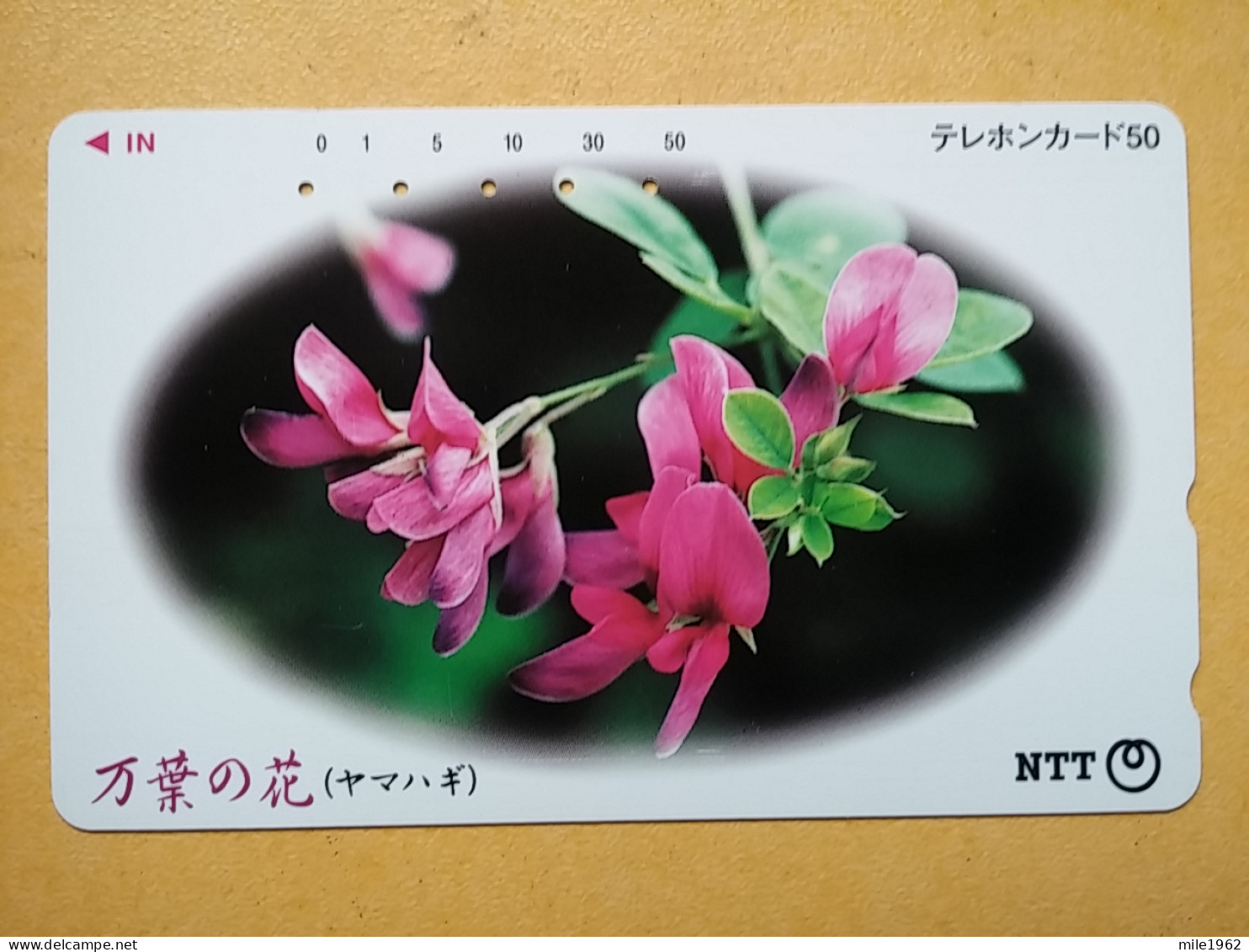 T-383 - JAPAN, Japon, Nipon, TELECARD, PHONECARD, Flower, Fleur, NTT 331-497 - Flores