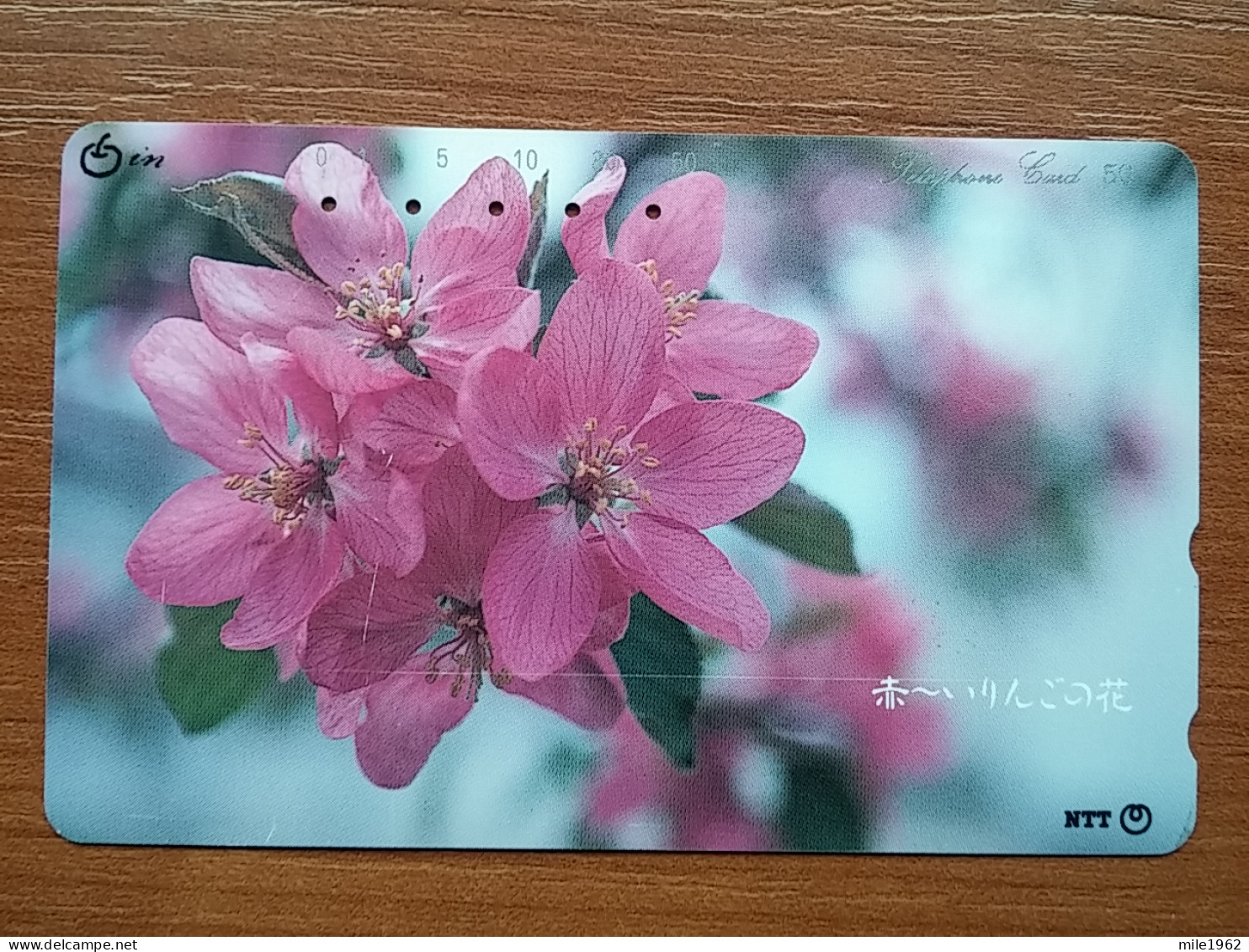 T-383 - JAPAN, Japon, Nipon, TELECARD, PHONECARD, Flower, Fleur, NTT 411-090 - Fiori