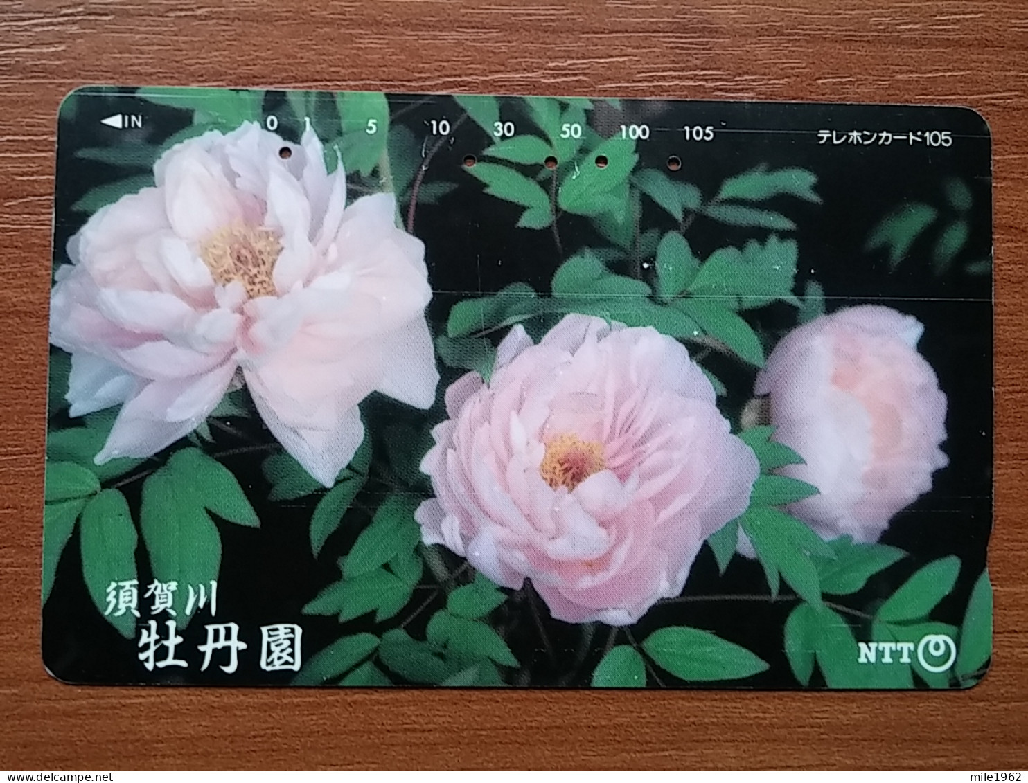 T-383 - JAPAN, Japon, Nipon, TELECARD, PHONECARD, Flower, Fleur, NTT 411-236 - Flowers