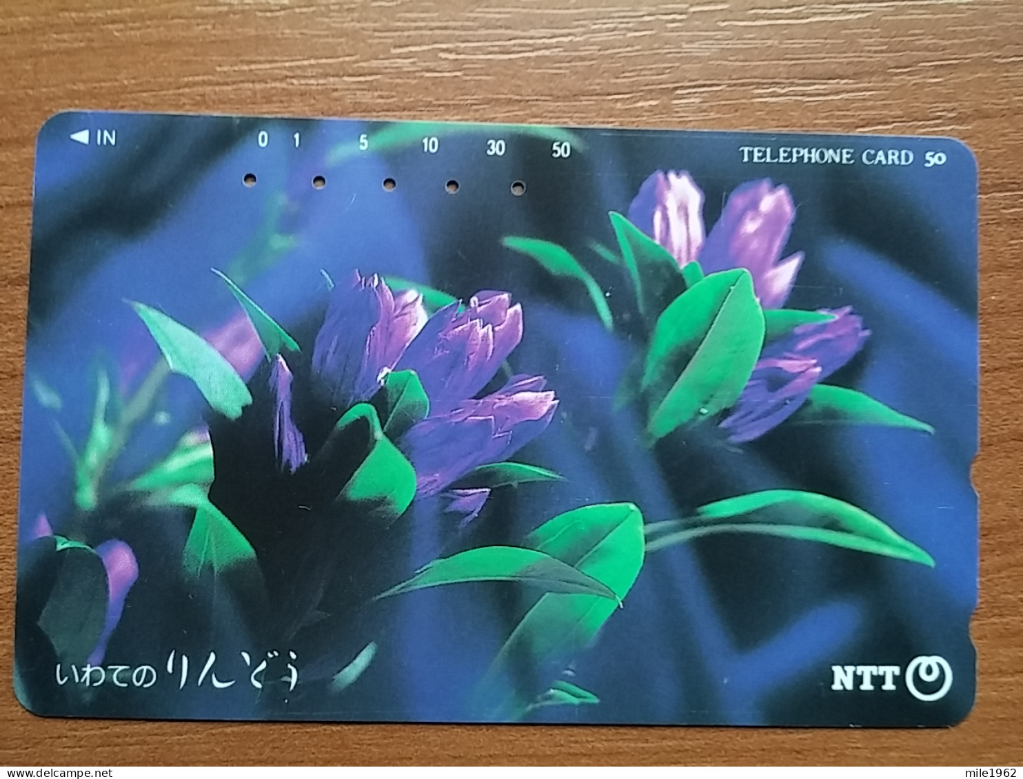 T-383 - JAPAN, Japon, Nipon, TELECARD, PHONECARD, Flower, Fleur, NTT 411-283 - Flores