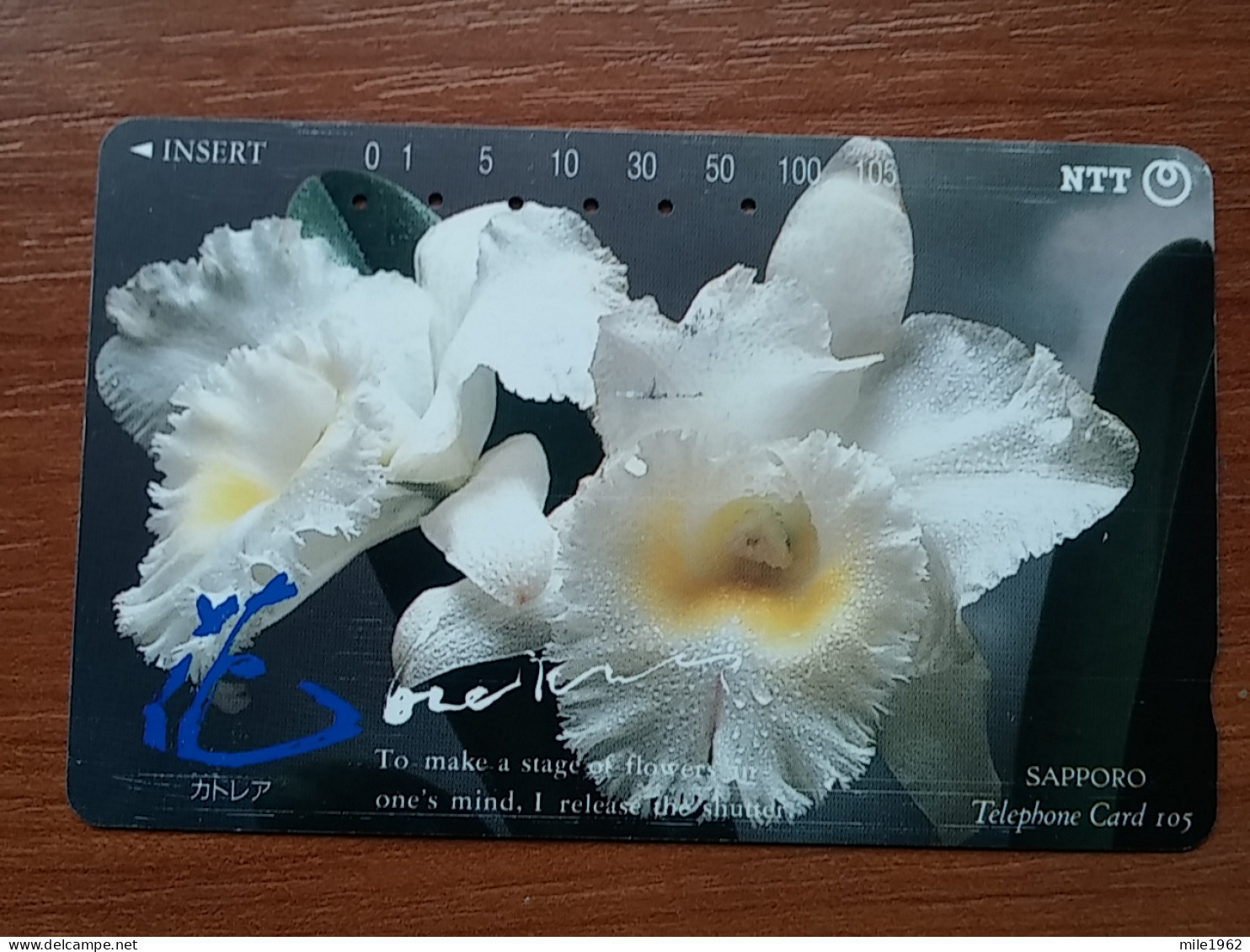 T-383 - JAPAN, Japon, Nipon, TELECARD, PHONECARD, Flower, Fleur, NTT 430-287 - Blumen