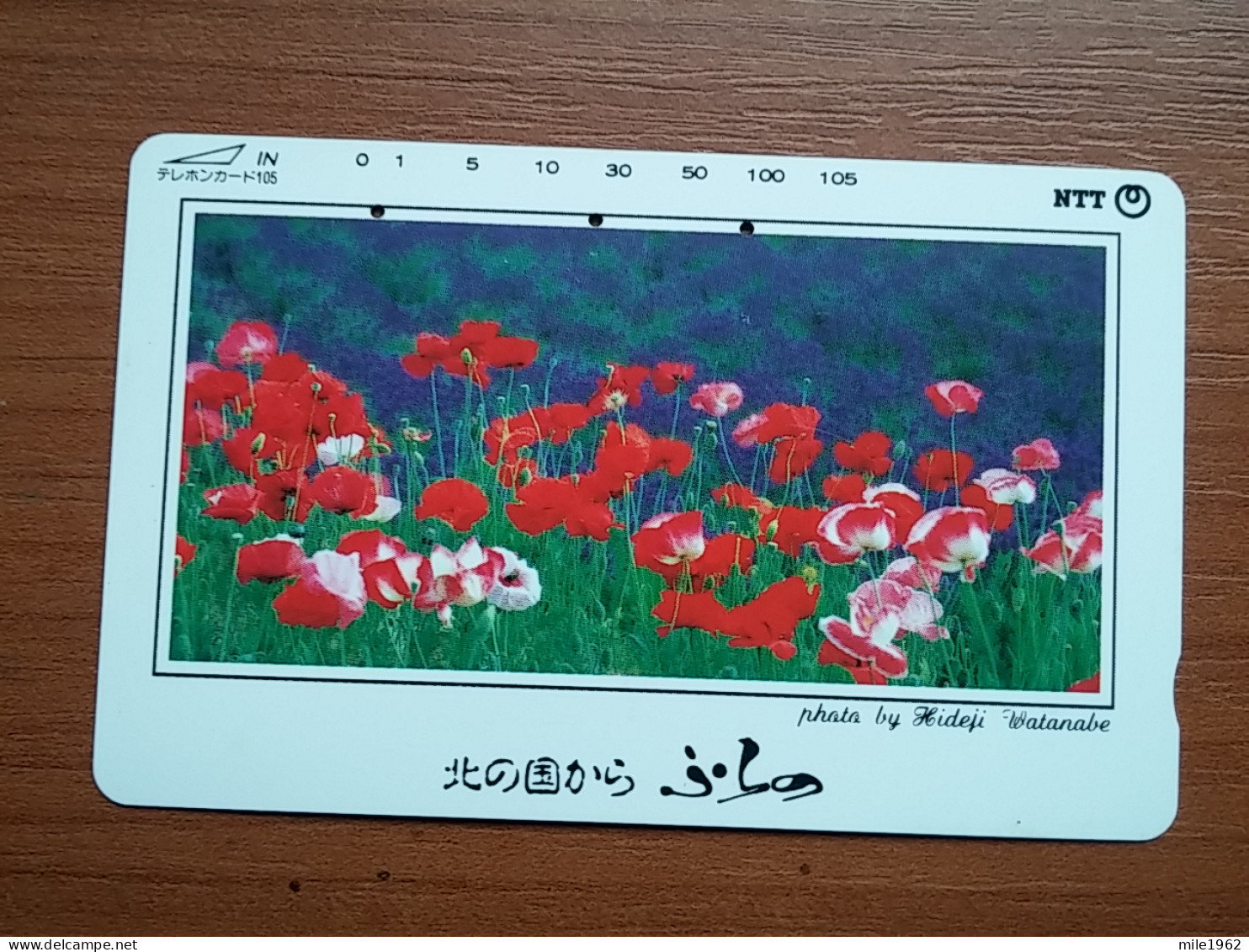 T-383 - JAPAN, Japon, Nipon, TELECARD, PHONECARD, Flower, Fleur, NTT 431-142 - Bloemen