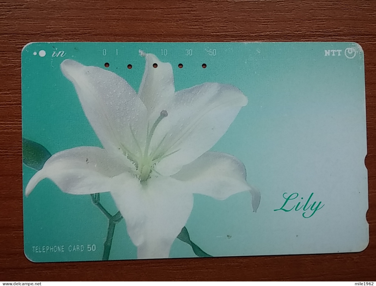 T-384 - JAPAN, Japon, Nipon, TELECARD, PHONECARD, Flower, Fleur, NTT 231-072 - Fiori