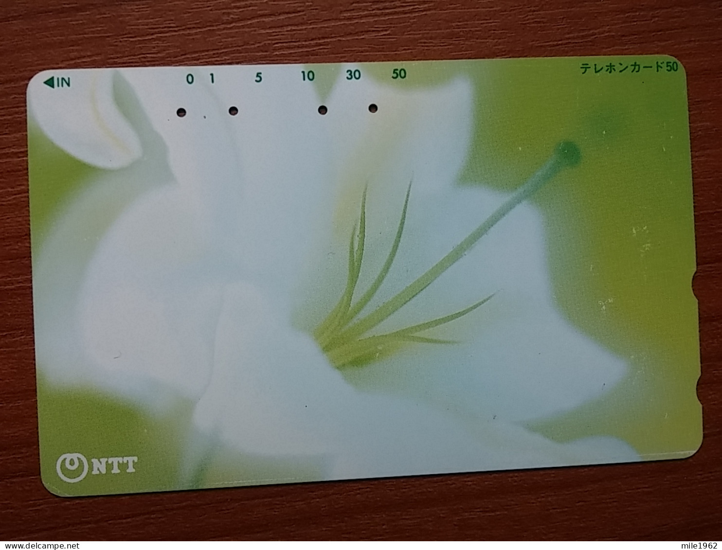 T-384 - JAPAN, Japon, Nipon, TELECARD, PHONECARD, Flower, Fleur, NTT 231-241 - Flores