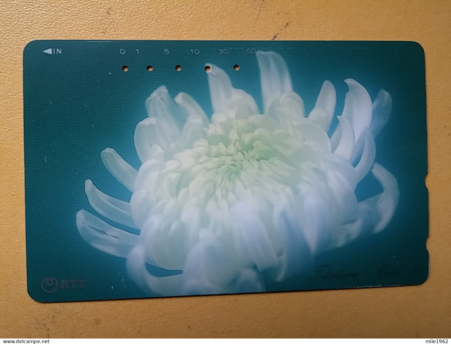 T-384 - JAPAN, Japon, Nipon, TELECARD, PHONECARD, Flower, Fleur, NTT 251-157 - Flowers