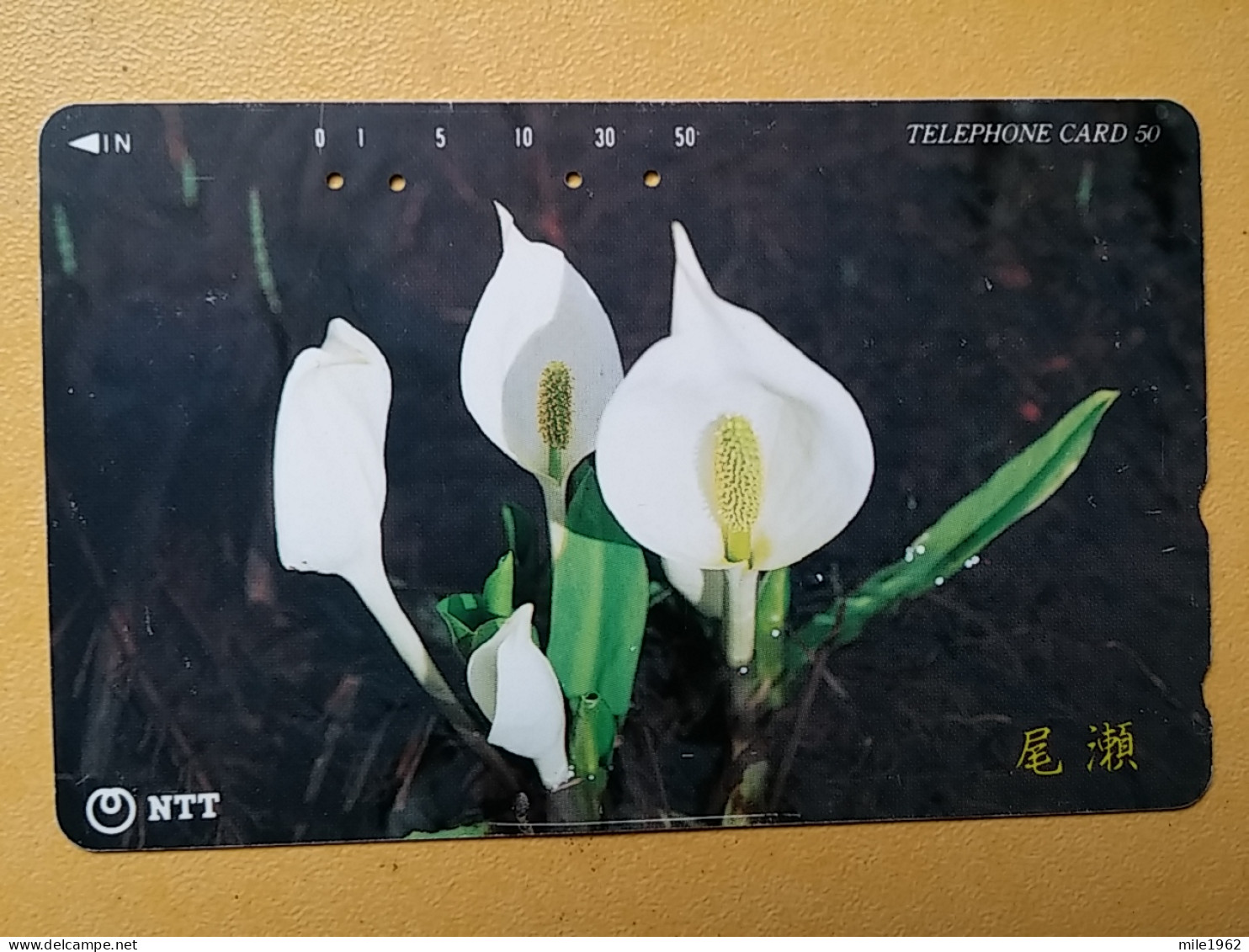 T-384 - JAPAN, Japon, Nipon, TELECARD, PHONECARD, Flower, Fleur, NTT 251-375 - Flores