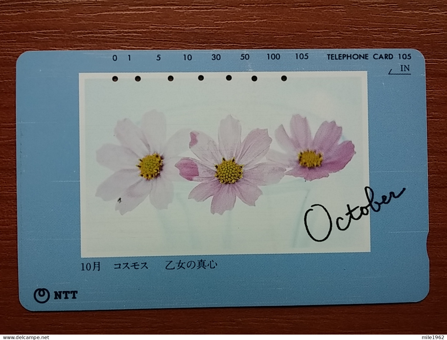 T-384 - JAPAN, Japon, Nipon, TELECARD, PHONECARD, Flower, Fleur, NTT 271-042 - Flores