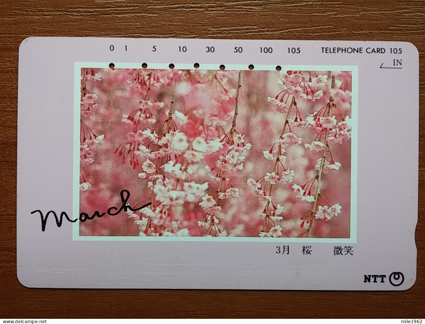 T-384 - JAPAN, Japon, Nipon, TELECARD, PHONECARD, Flower, Fleur, NTT 271-055 - Bloemen