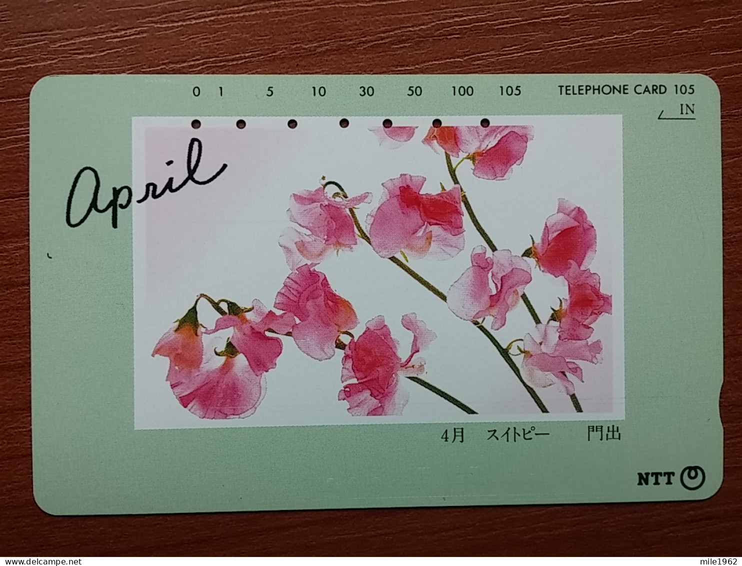 T-384 - JAPAN, Japon, Nipon, TELECARD, PHONECARD, Flower, Fleur, NTT 271-056 - Blumen