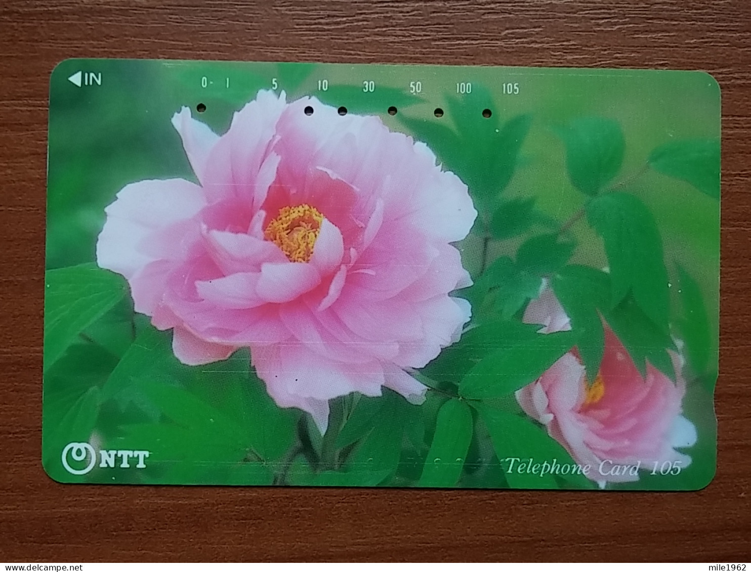 T-385 - JAPAN, Japon, Nipon, TELECARD, PHONECARD, Flower, Fleur, NTT 111-019 - Flores