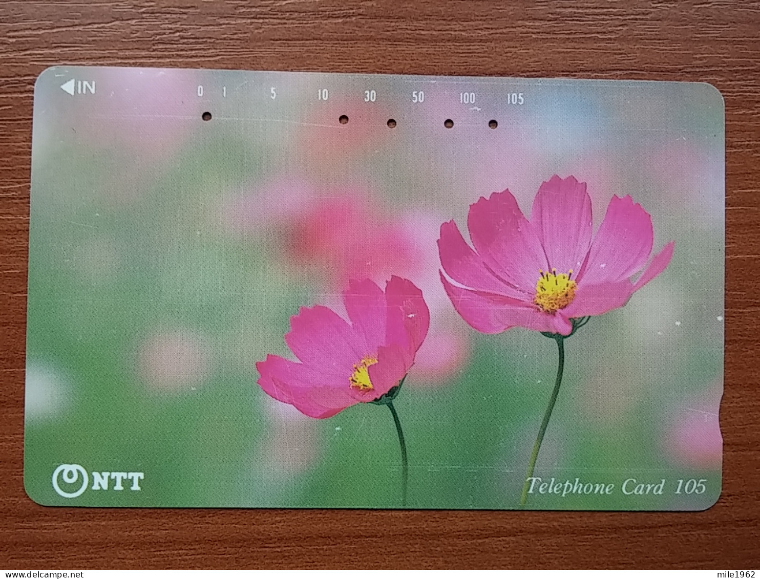 T-385 - JAPAN, Japon, Nipon, TELECARD, PHONECARD, Flower, Fleur, NTT 111-027 - Fleurs