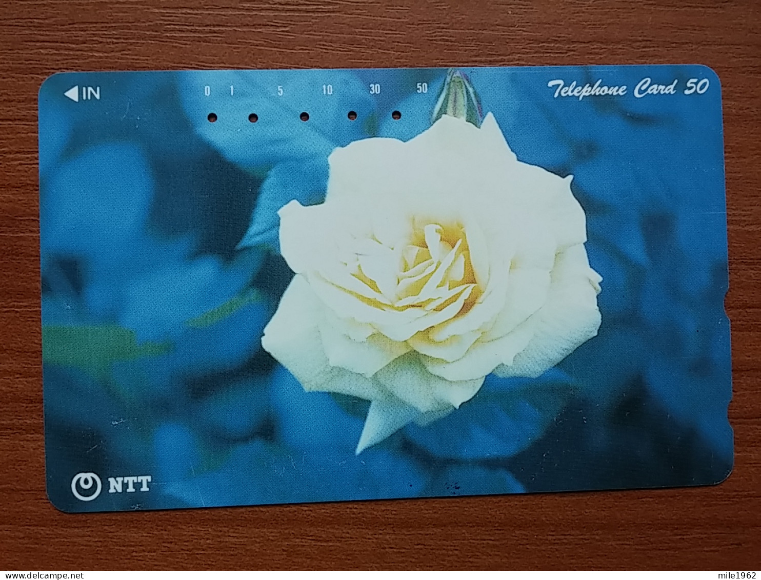 T-385 - JAPAN, Japon, Nipon, TELECARD, PHONECARD, Flower, Fleur, NTT 111-034 - Blumen