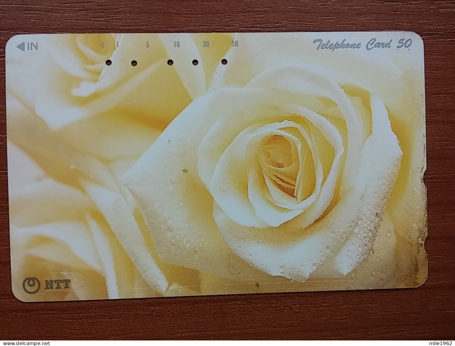 T-385 - JAPAN, Japon, Nipon, TELECARD, PHONECARD, Flower, Fleur, NTT 111-042 - Bloemen