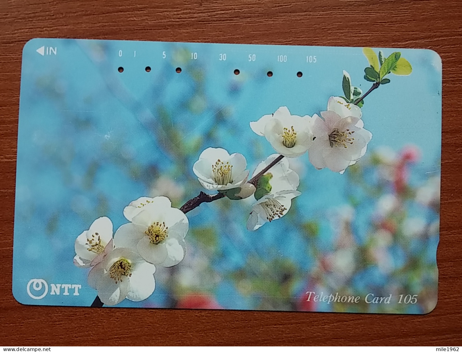 T-385 - JAPAN, Japon, Nipon, TELECARD, PHONECARD, Flower, Fleur, NTT 111-043 - Bloemen