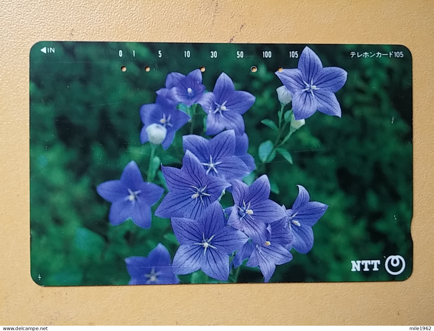 T-385 - JAPAN, Japon, Nipon, TELECARD, PHONECARD, Flower, Fleur, NTT 111-069 - Flowers