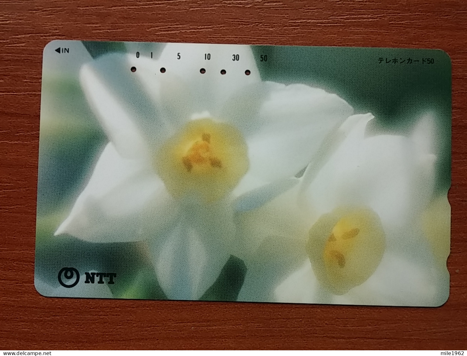 T-385 - JAPAN, Japon, Nipon, TELECARD, PHONECARD, Flower, Fleur, NTT 111-090 - Flores