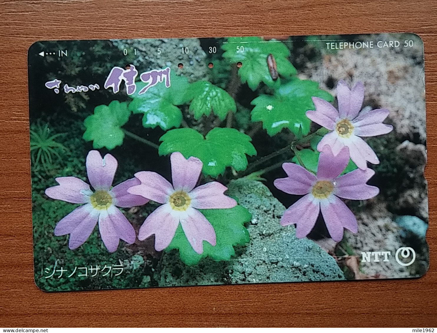 T-385 - JAPAN, Japon, Nipon, TELECARD, PHONECARD, Flower, Fleur, NTT 271-166 - Flores