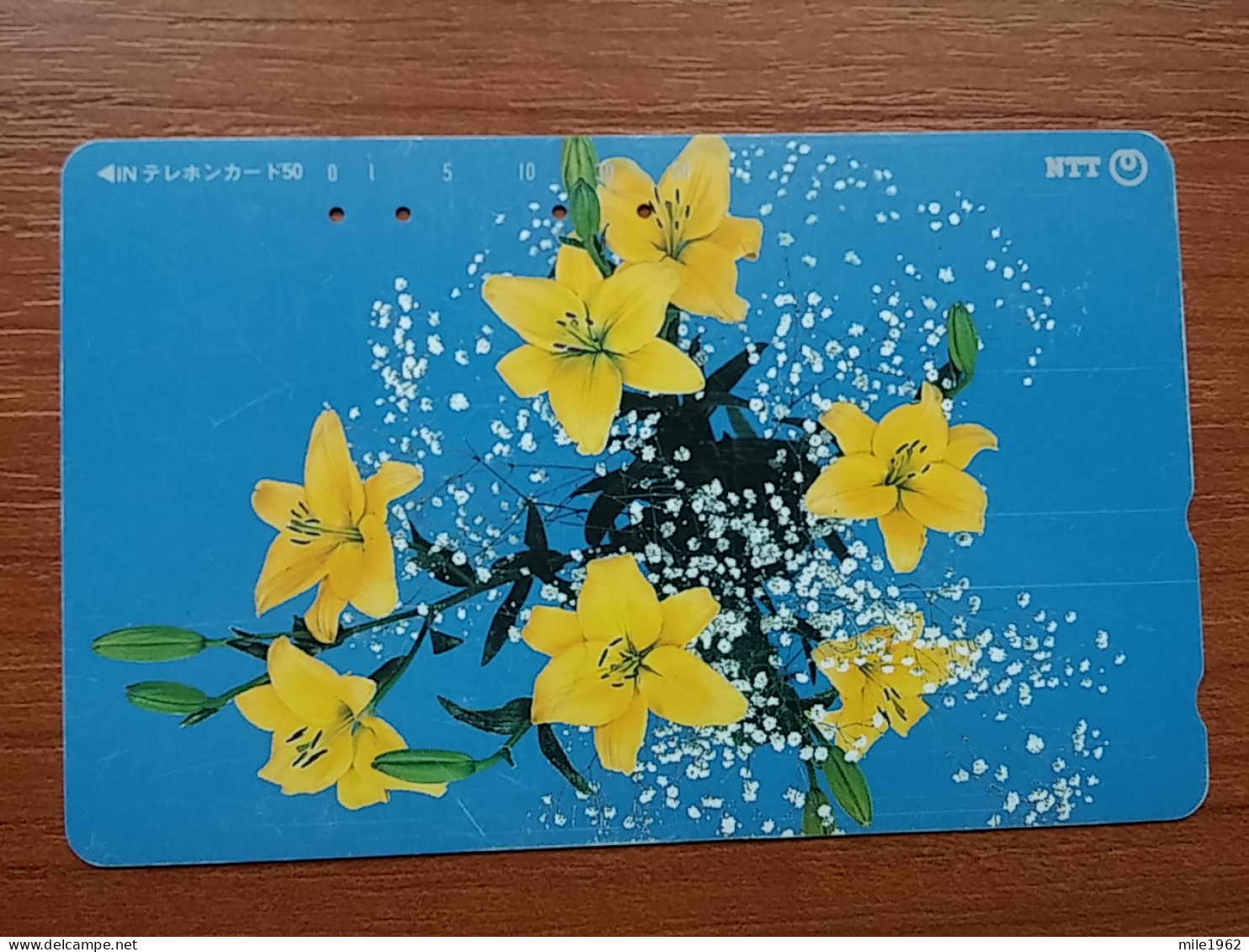 T-386 - JAPAN, Japon, Nipon, TELECARD, PHONECARD, Flower, Fleur, NTT 231-183 - Flowers