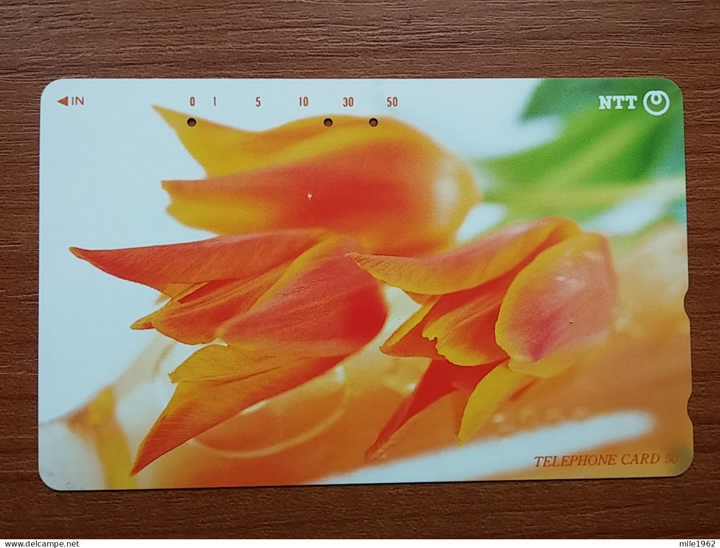 T-386 - JAPAN, Japon, Nipon, TELECARD, PHONECARD, Flower, Fleur, NTT 231-242 - Fleurs