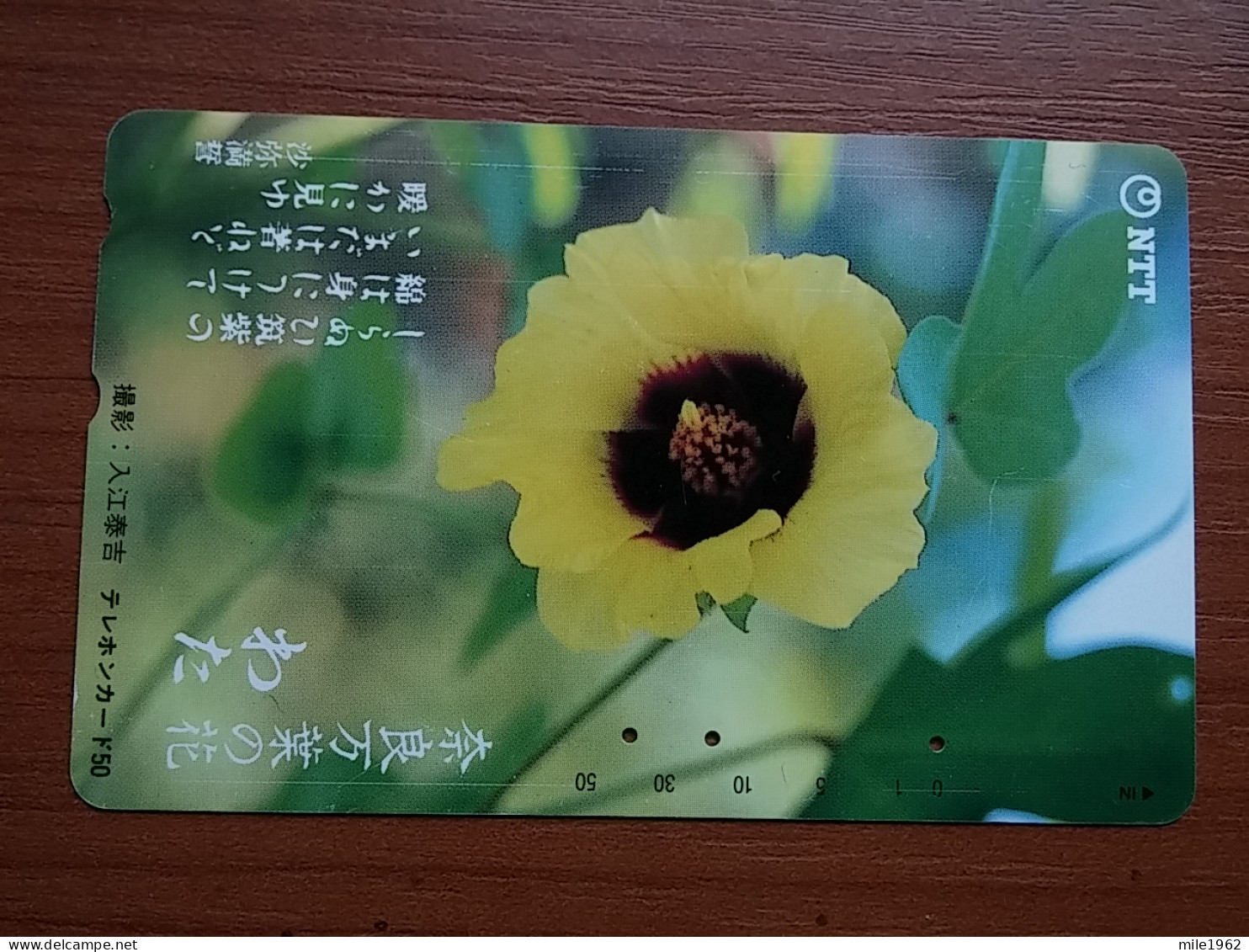 T-386 - JAPAN, Japon, Nipon, TELECARD, PHONECARD, Flower, Fleur, NTT 331-098 - Fleurs