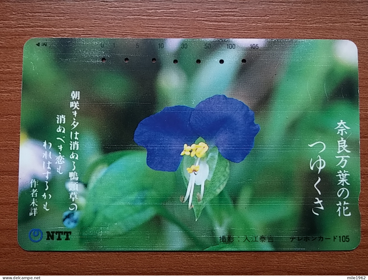 T-386 - JAPAN, Japon, Nipon, TELECARD, PHONECARD, Flower, Fleur, NTT 331-099 - Fiori