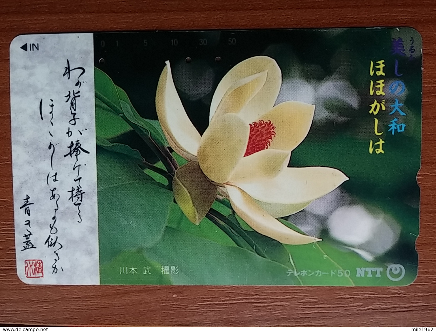 T-386 - JAPAN, Japon, Nipon, TELECARD, PHONECARD, Flower, Fleur, NTT 331-142 - Blumen